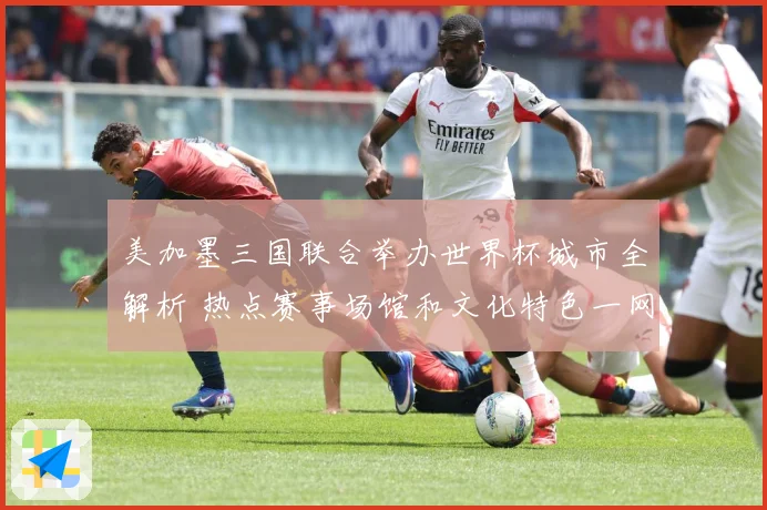 美加墨三国联合举办世界杯城市全解析 热点赛事场馆和文化特色一网打尽