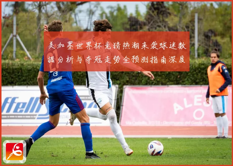 美加墨世界杯竞猜热潮来袭球迷数据分析与夺冠走势全预测指南深度