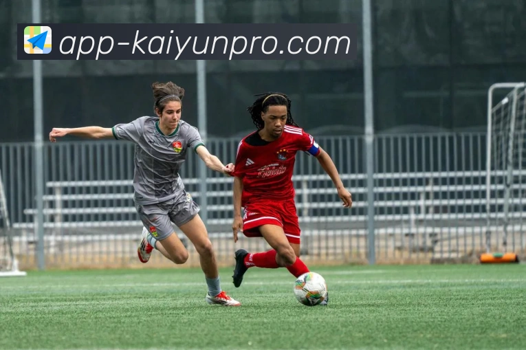 开云APP的安全性分析及用户数据保护措施详解